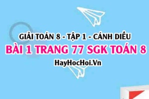 Giải bài 1 trang 77 Toán 8 Tập 1 SGK Cánh Diều
